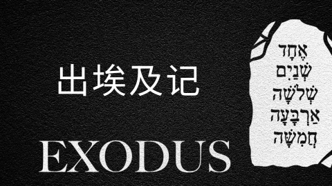 从牧场到砖厂
