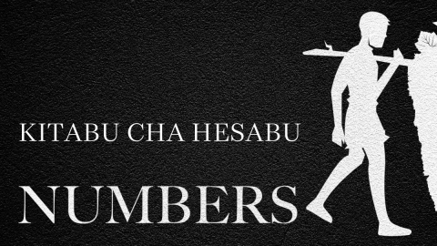 Kitabu cha Hesabu (Swahili Numbers)
